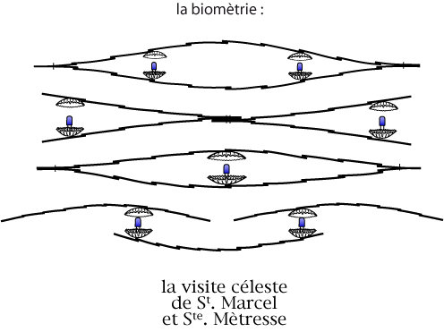 Biometrie
