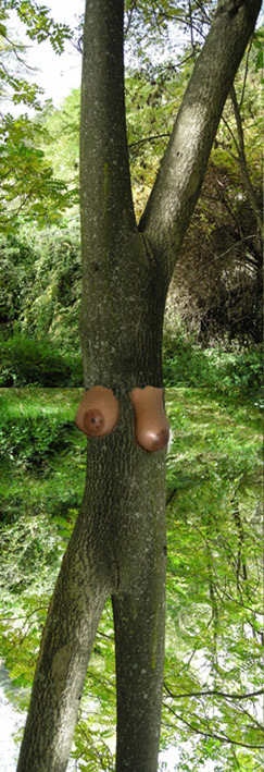 Baumfrau